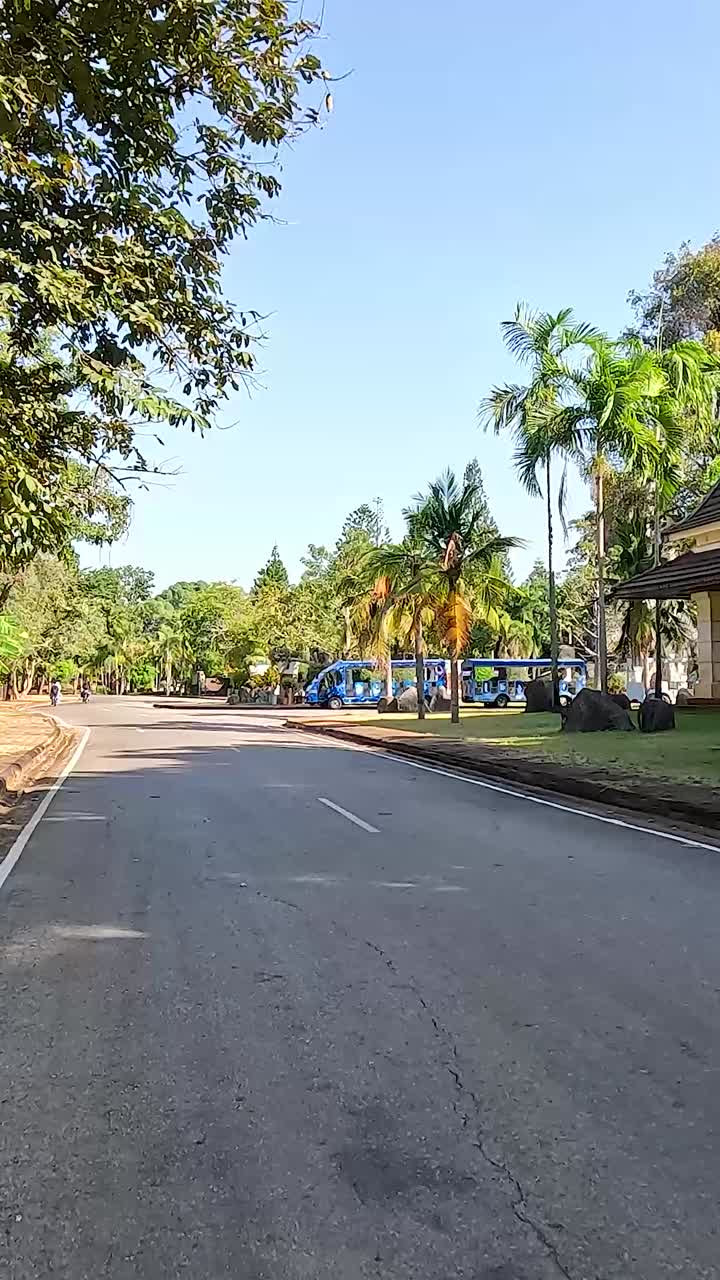 un camino pacífico bordeado de árboles exuberantes