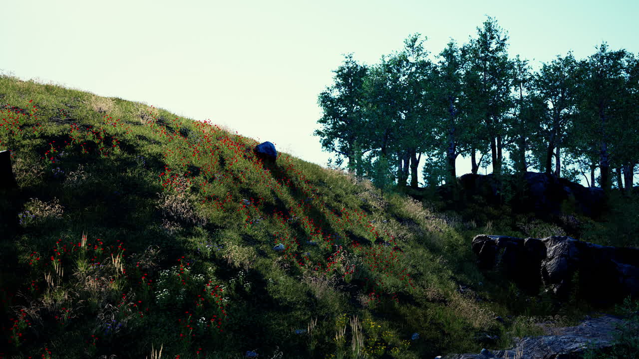 hermosa vista del idílico paisaje montañoso alpino con prados en flor