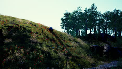 beautiful view of idyllic alpine mountain scenery with blooming meadows
