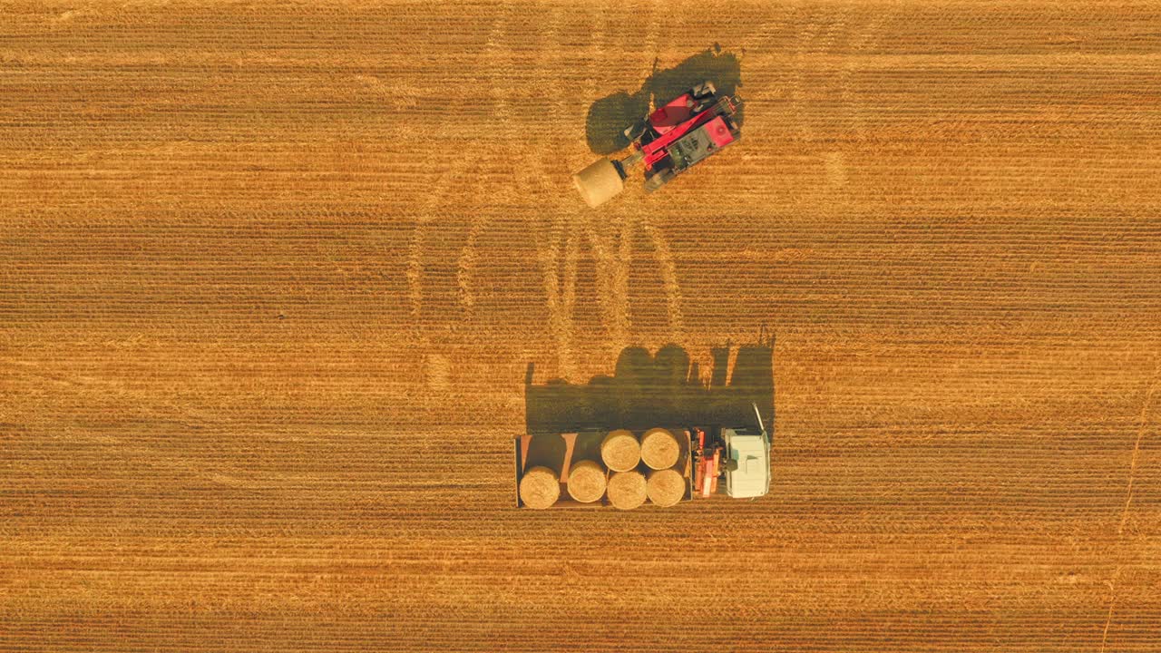 트랙터 로더 가 밀 에서 트럭 의 뒷부분 에  과  을 고 있다 - 위쪽 에서 볼 수 있다