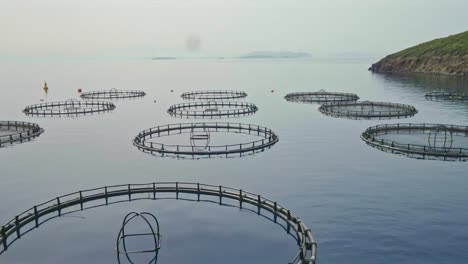 at a caged industrial fish farm in the middle of the sea, a boat feeds and harvests fish.