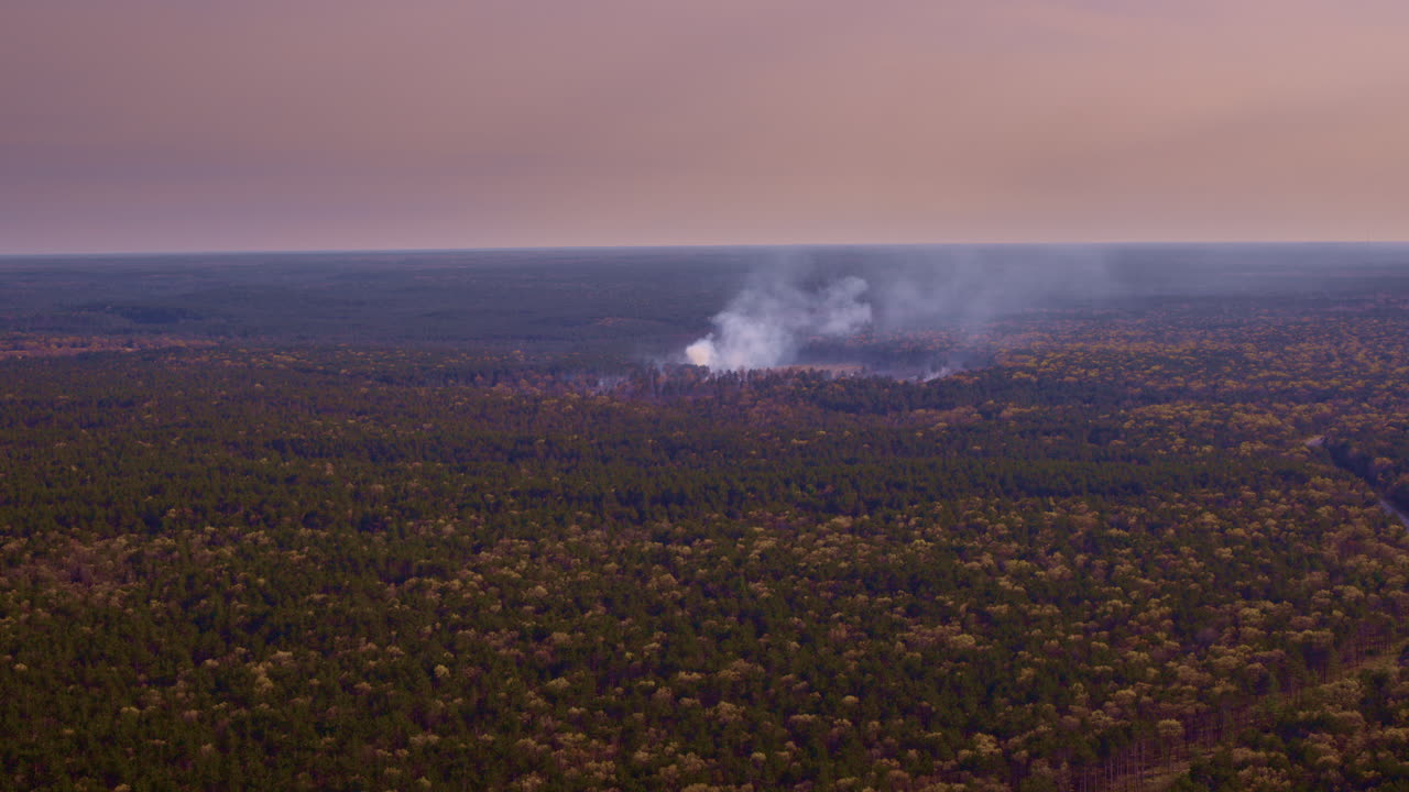 드론이 큰 불타는 숲을 스캔하고 있습니다. 광범위한 시각으로요.