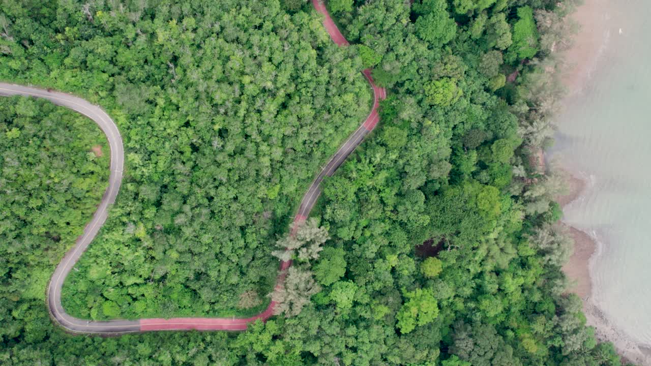 vista superior de la carretera del campo que pasa por el bosque verde y la montaña