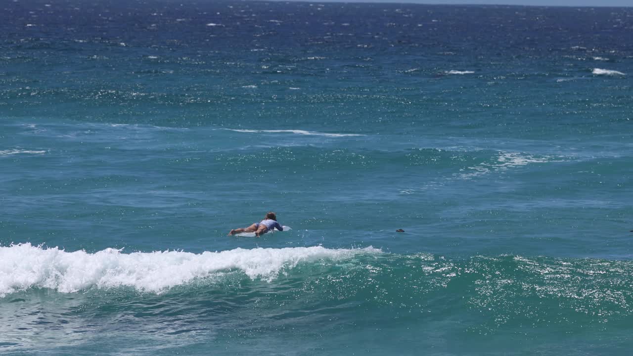 서퍼가 파도를 잡고 타는 장면