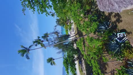 Fpv-Shot-Of-La-Playita-Beach-In-Las-Galeras,-Samana,-Dominican-Republic---Vertical