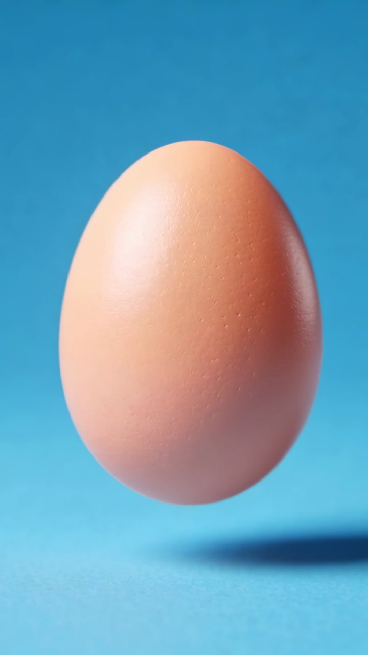 Vertical video: Showing frames of brown egg settling above blue backdrop with oval shadow