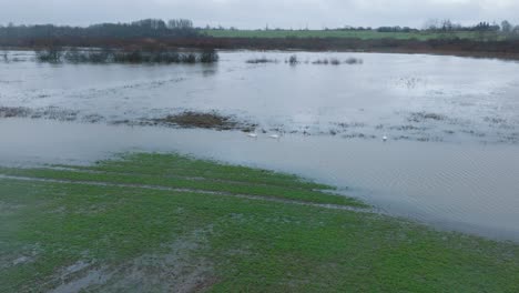 aerial establishing view of high water, alande river , agricultural fields under the water, overcast day, wide drone orbit shot