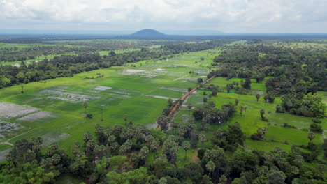 las verdes llanuras de inundación de camboya se extienden en la distancia.