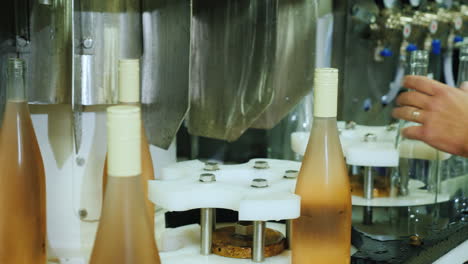 wine bottles closed with a cork stopper move along the conveyor belt view from above