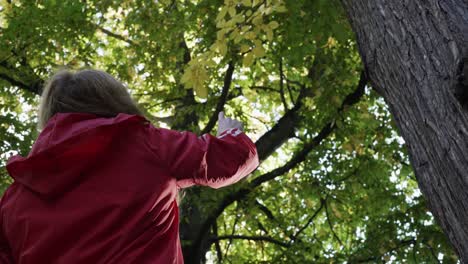 mujeres jóvenes mirando algunos árboles en el bosque en otoño