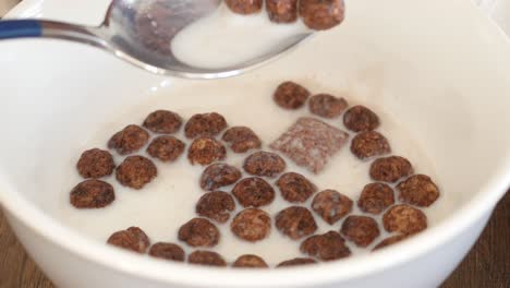 Bowl of Chocolate Cereal with Milk