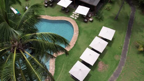 topdown over swimming pool through palm tree and grass, tropical climate