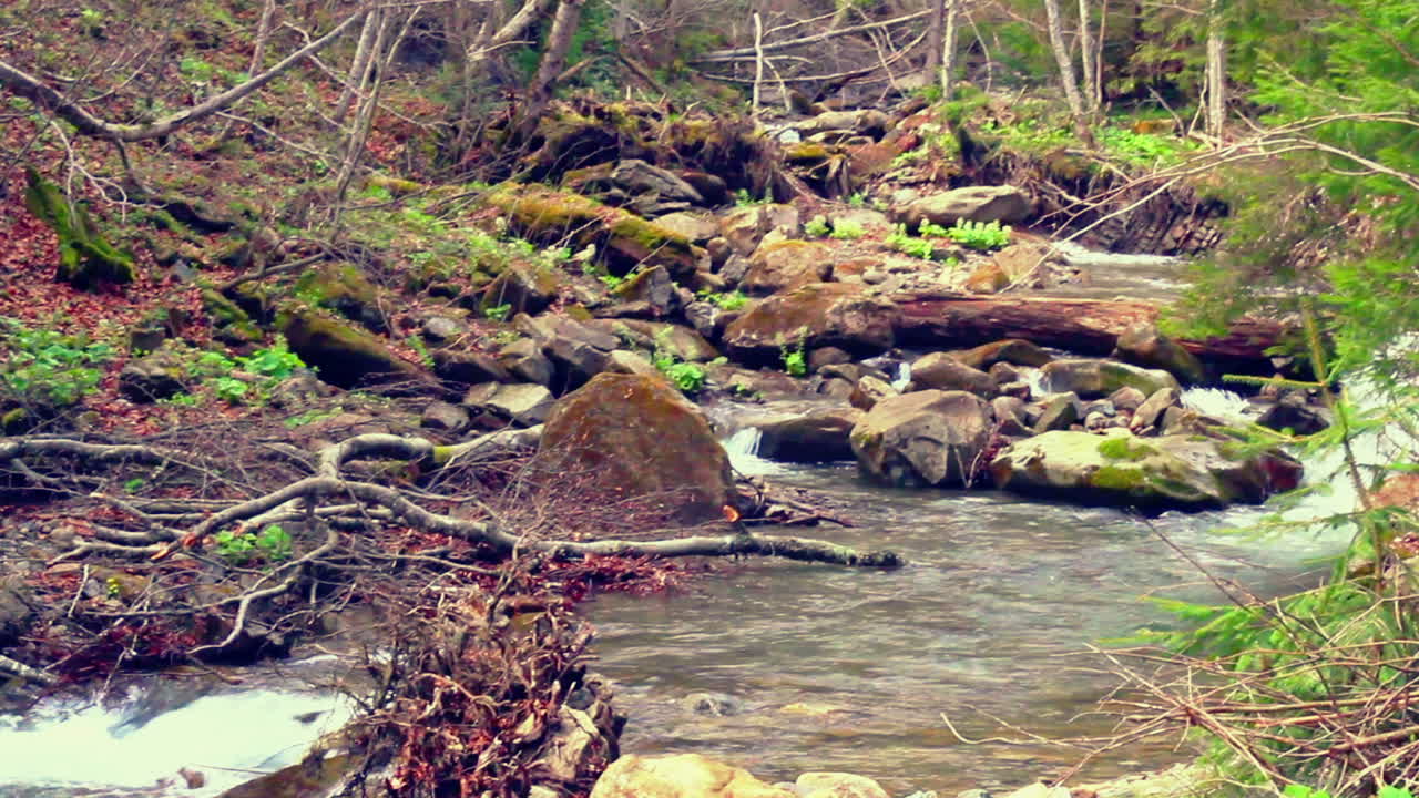 paisaje de otoño de un río con rápidos que fluye en el bosque de montaña