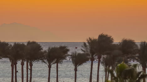 Zeitrafferaufnahme-Von-Palmen,-Die-Sich-Abends-Im-Wind-Am-Strand-Entlang-Bewegen