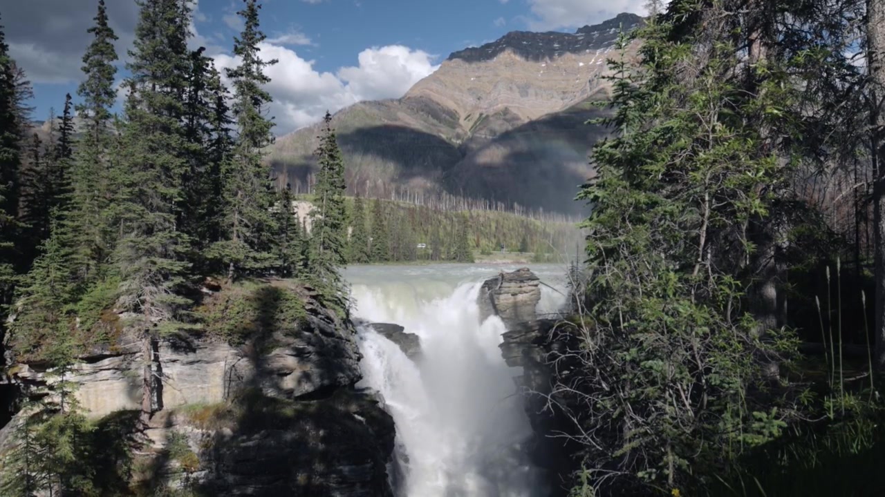 La potente cascata Athabasca attraverso scogliere rocciose alle Cascate Athabasca, circondata da fitti sempreverdi e dalle lontane montagne innevate del Monte Kerkeslin, in pieno giorno nel Parco Nazionale di Jasper