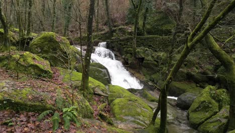 moss-covered rocks in forest waterfall - aerial