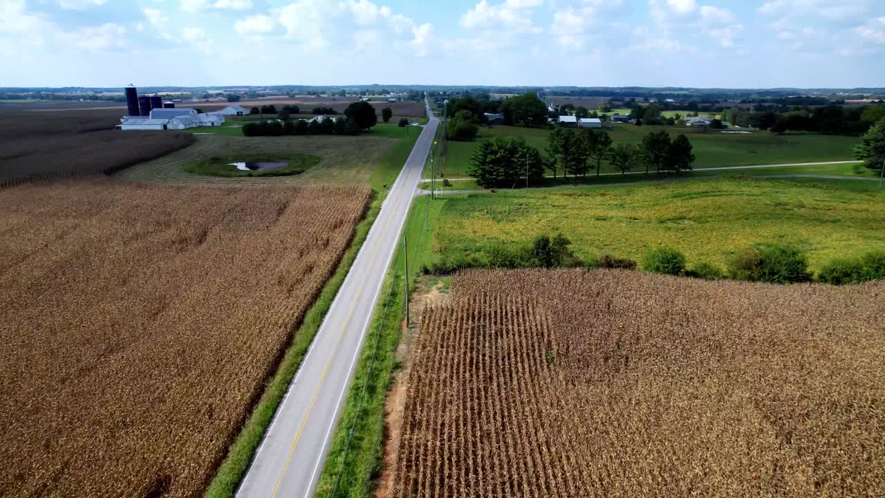 long roadway aerial in kentucky farm country, corn fields, cornfields