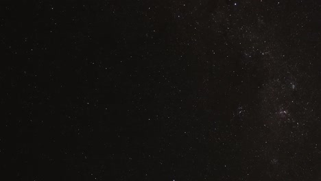 a serene view of stars scattered across the night sky with silhouetted tree tops.