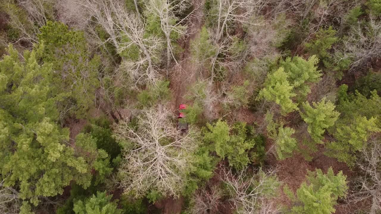 el vehículo rojo conduce por el sendero todoterreno en leota, michigan, con vistas a las copas de los árboles del bosque verde