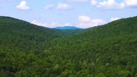 vista aérea del bosque en las montañas catskill, valle de hudson, en las montañas apalaches durante el verano