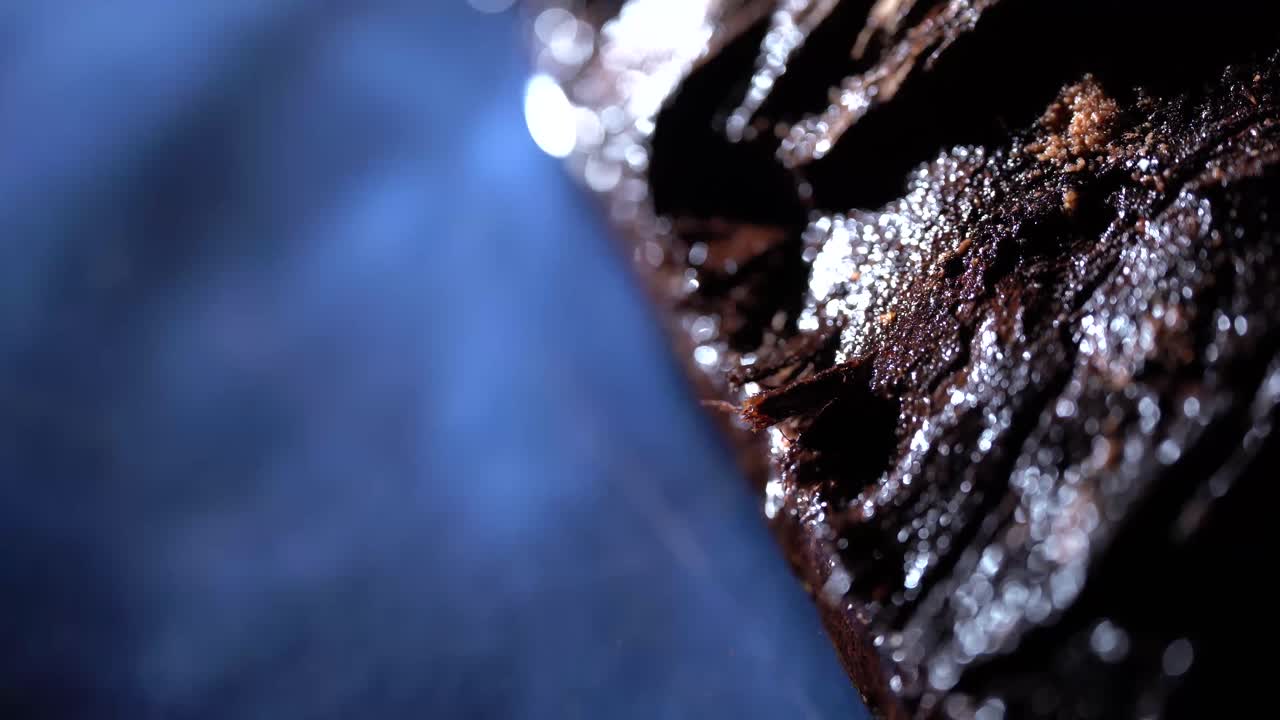 Close Up Shot Of Water And Bubbles flowing Against Weathered Wood In Natural Environment.