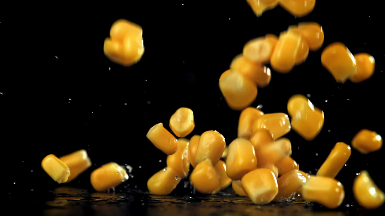 Golden Corn Kernels Falling and Splashing in Super Slow Motion