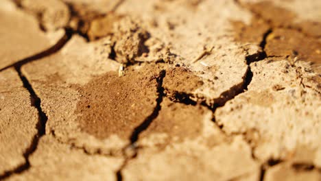 dry cracked earth briefly dampened by falling water, symbolizing hope and renewal