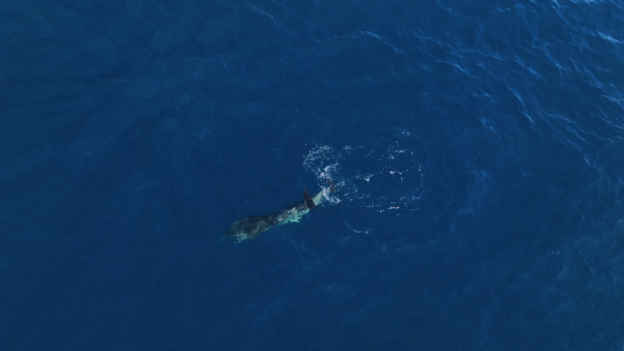 크로아티아 연안의 항공 영상
