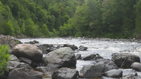 the batchawana river flows through the thick ontario forests on it's way to lake superior