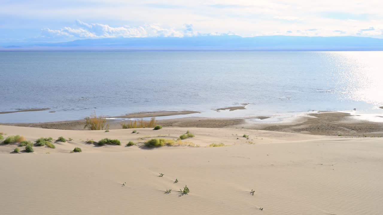 A scene of stunning natural contrast where the arid sand dunes of the Durgun Nuur desert meet the sparkling blue waters of a vast lake in remote Mongolia
