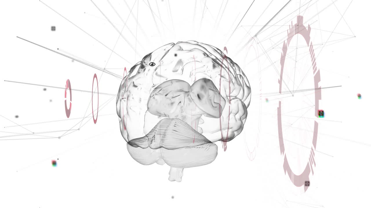 Animation of network of connections and data processing over brain