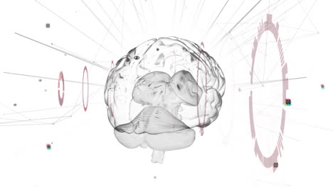 animación de la red de conexiones y procesamiento de datos sobre el cerebro