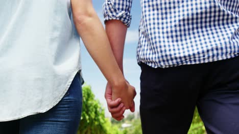 Mid-section-of-couple-walking-hand-in-hand-through-vineyard