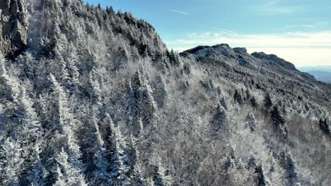 grandfather mountain nc, rime ice on trees aerial, appalachian mountain aerial scene