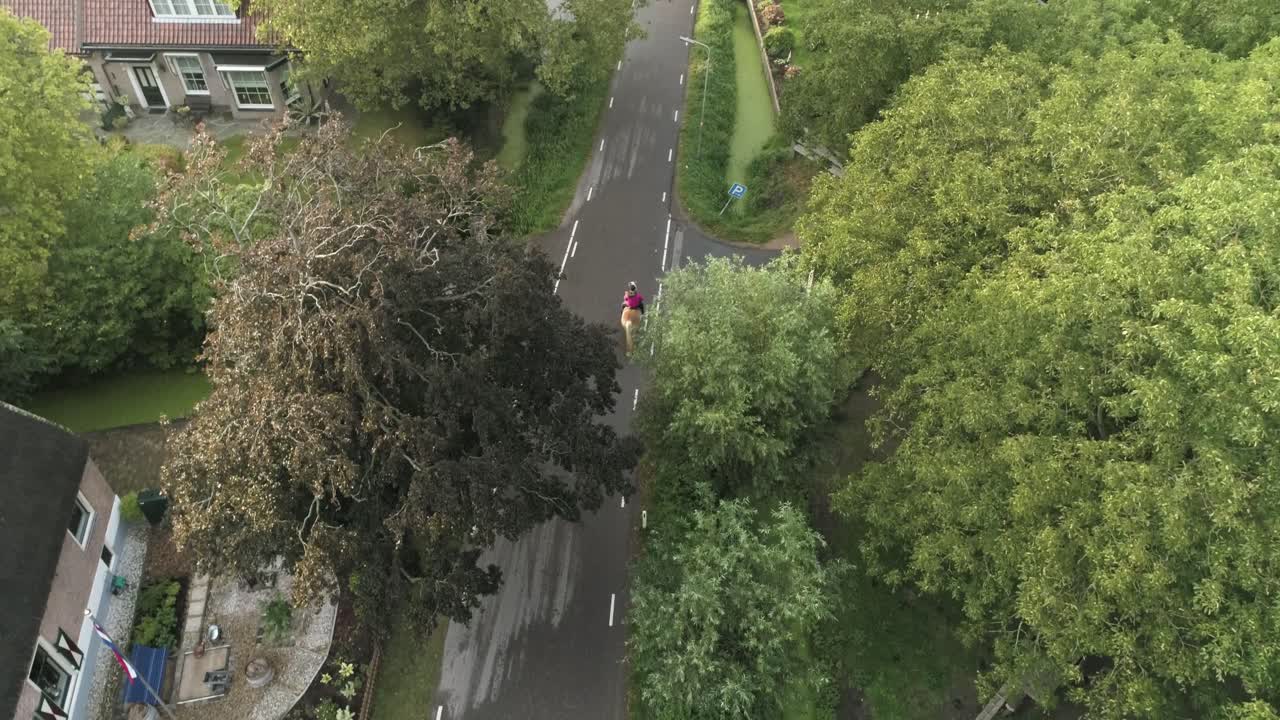 자전거 타는 사람이 지나가는 작은 네덜란드 마을의 조용한 도로에서 말을 타는 여성의 드론 공중