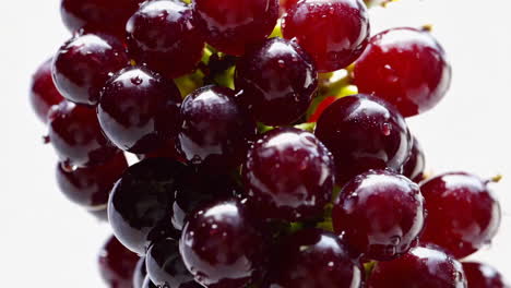 close-up of fresh red grapes with water droplets