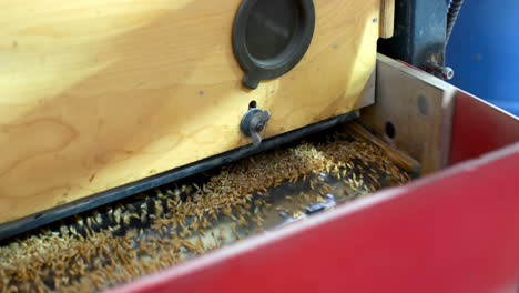 high angle view of wheat thresher machine in warehouse 4k