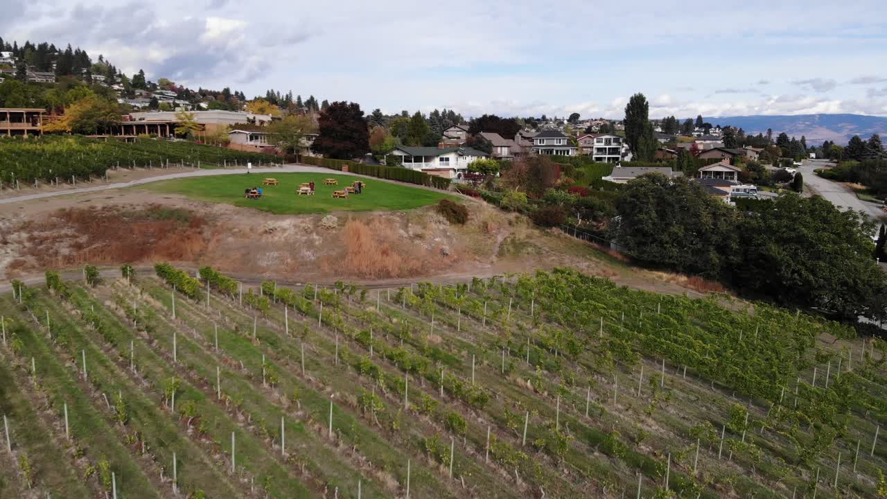 vuelo de dron de ida y vuelta desde una bodega sobre los viñedos