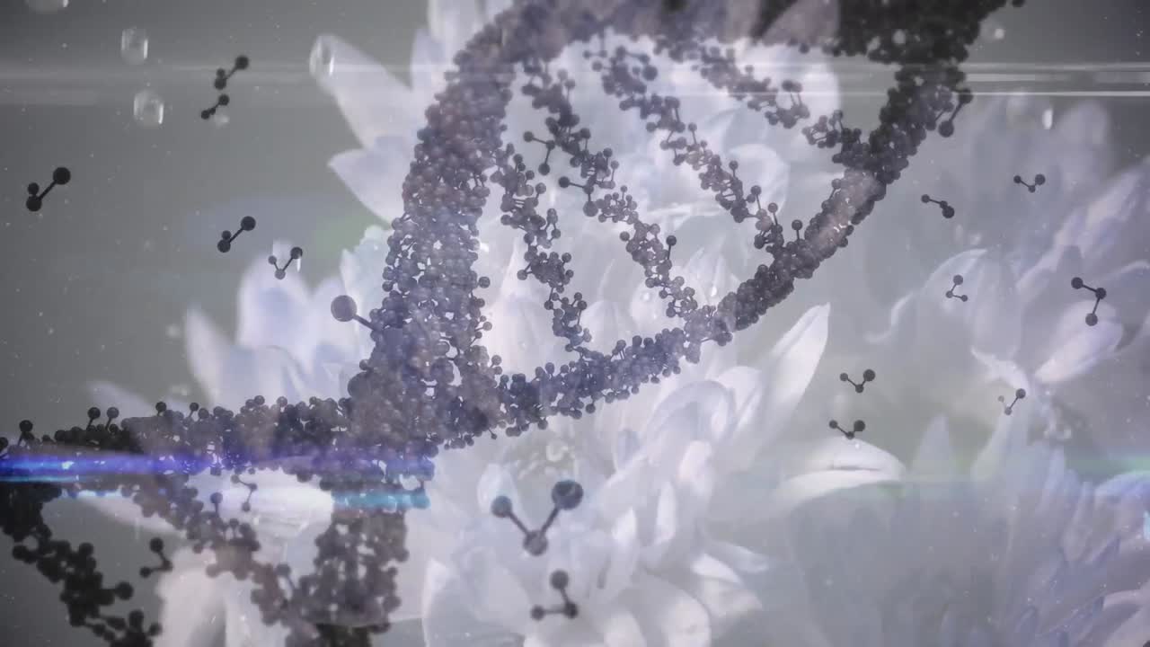 3d 보라색 dna 가닥이 회전하고 분자가 꽃 위에 떠다니는 애니메이션