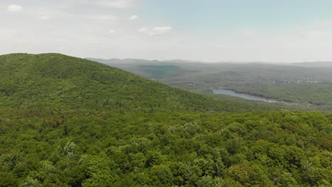 Slow-aerial-flyover-above-vast-green-forest-in-Upstate-New-York-Adirondack-Mountains