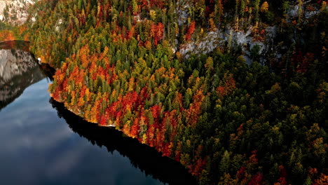 Follaje-De-Otoño-En-La-Orilla-Del-Lago-Toplitz-En-Austria