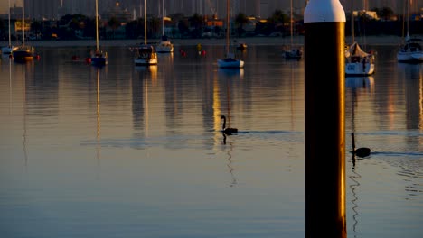 Reflexion-Des-Sonnenaufgangs-In-Der-Nähe-Des-Piers-Reflexion-Des-Wassers-Des-Sonnenaufgangs-In-Der-Nähe-Des-Piers-Von-St.-Kilda