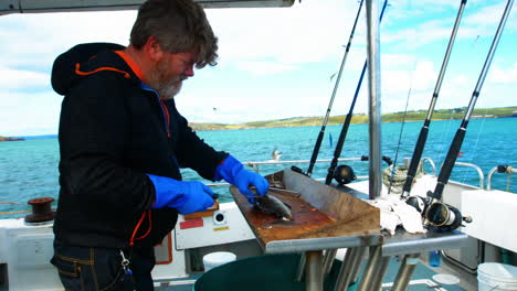 pescador que hace filetes de pescado