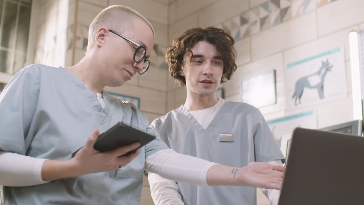 dos veterinarios que trabajan juntos en la clínica