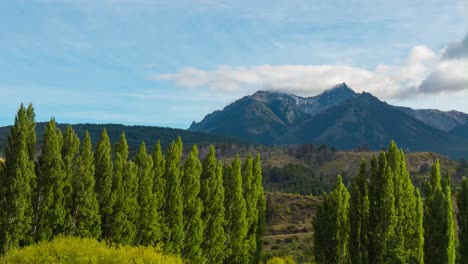 Pine-trees-mountain-and-clouds-at-a-windy-day