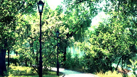 vista panorámica de un sinuoso camino de piedra a través de un tranquilo parque verde de la ciudad