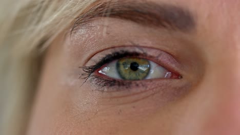 nahaufnahme der grünen augen einer jungen weißen frau mit leichtem make-up und mascara