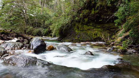 goye stream in colonia suiza, bariloche, argentina