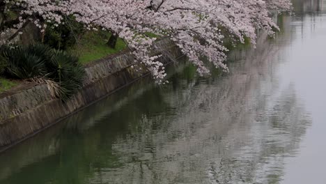 Die-Besten-Orte-In-Kyoto