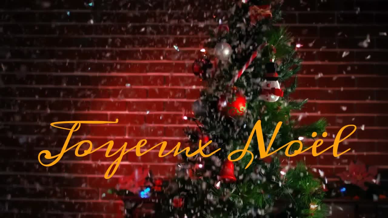 Joyeux No&Atilde;&laquo;l written over Christmas tree